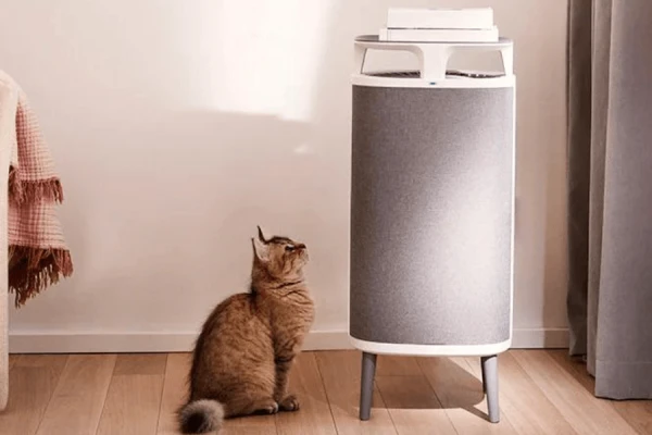 Blueair DustMagnet 5440i в кімнаті