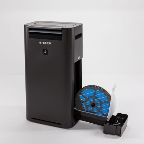 Oczyszczacz z nawilżaczem Sharp KC-G40EUH