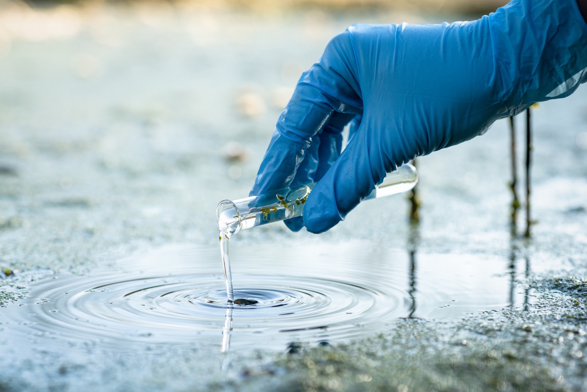 Badanie jakości wody