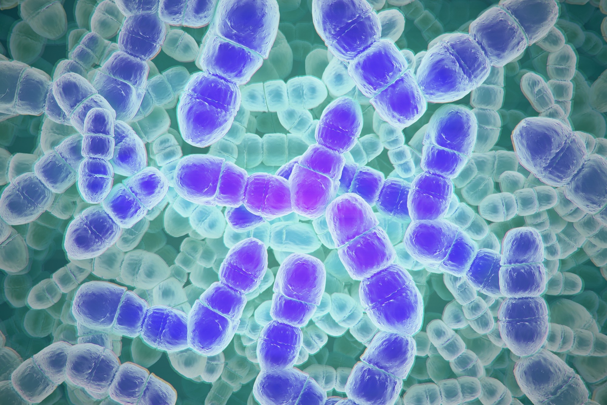 Bakteria pałeczki okrężnicy pod mikroskopem