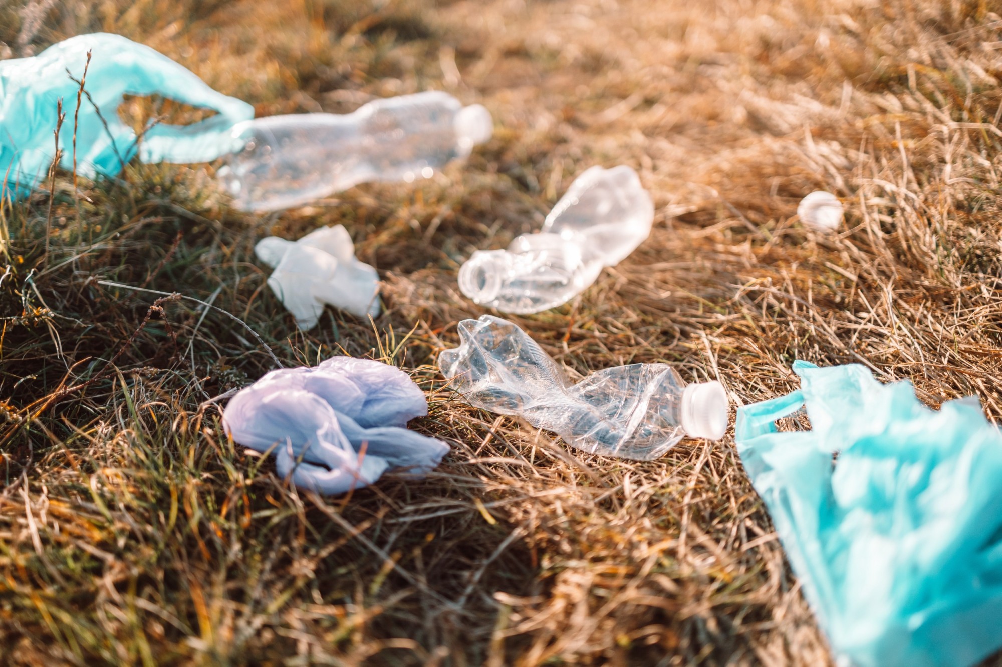 Odpady plastikowe na łące