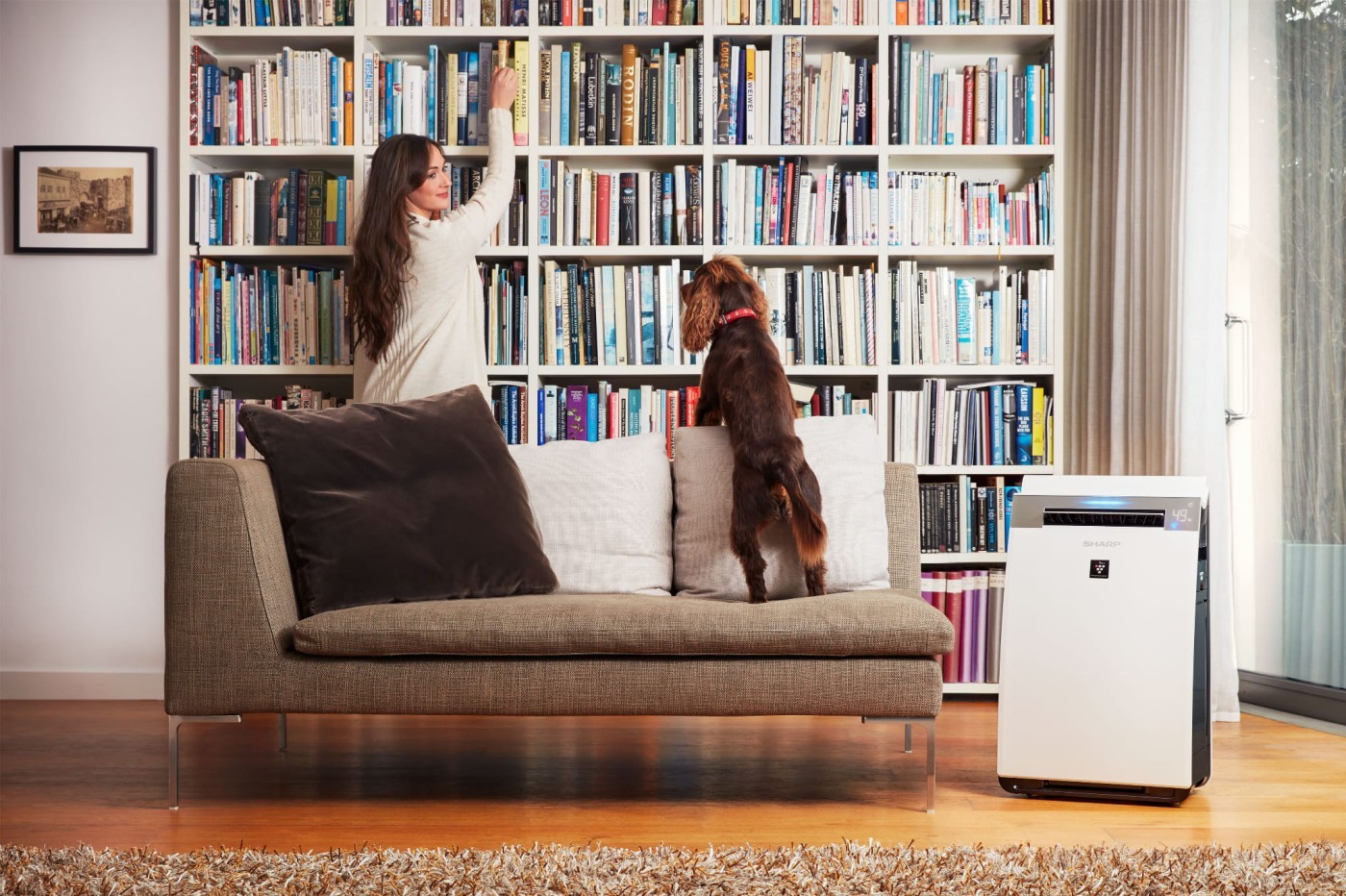Aranżacja oczyszczacza powietrza Sharp