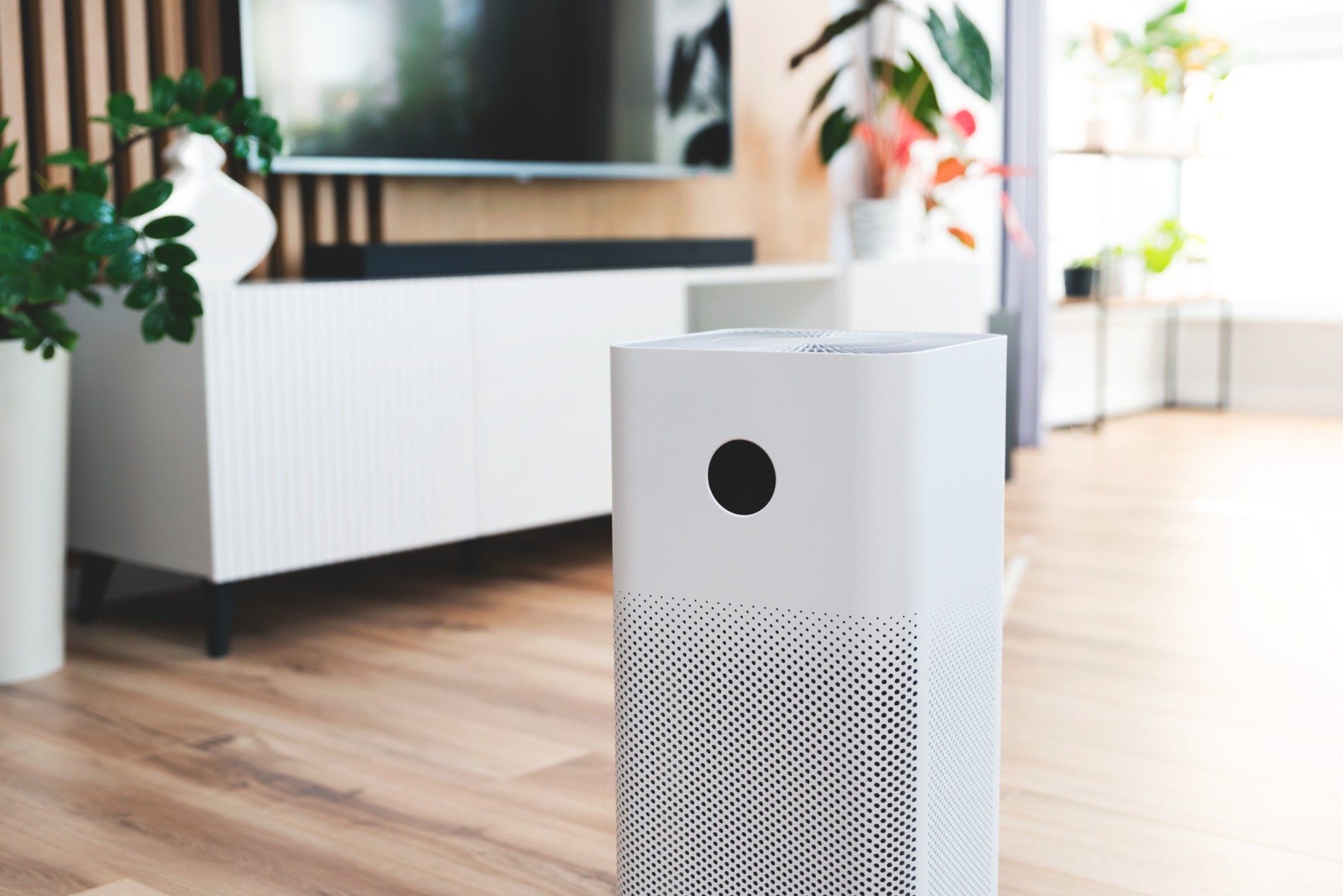 Oczyszczacz powietrza z lampą UV-C w salonie 