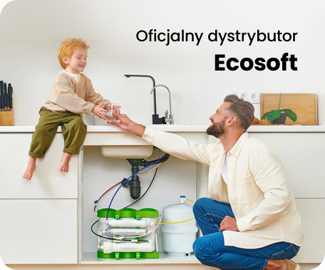 Współpraca Ecosoft
