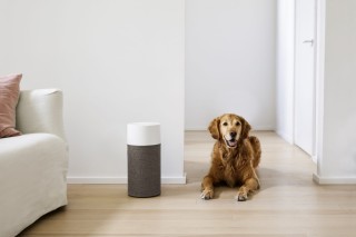 Blueair Blue 3210 oczyszczacz powietrza. Czujnik i wskaźnik jakości powietrza.