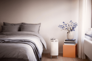 Blueair DustMagnet 5210i