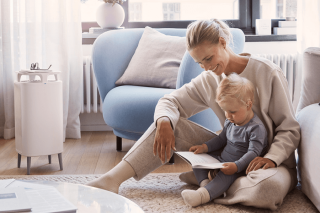 Blueair DustMagnet 5210i