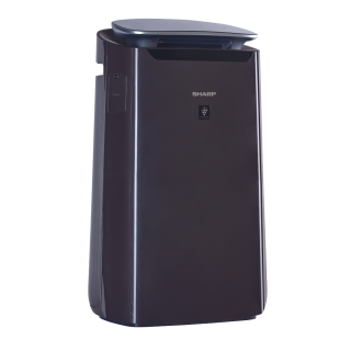 Sharp FP-J60EUH polecany oczyszczacz powietrza z jonizacją.