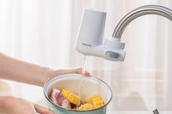 filtr nakranowy philips