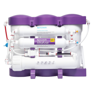 BWT Ecosoft Pure Alkafuse - z pompą, na metalowym stojaku