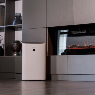 zaawansowany oczyszczacz powietrza do mieszkania SHARP KI-N42EU-L