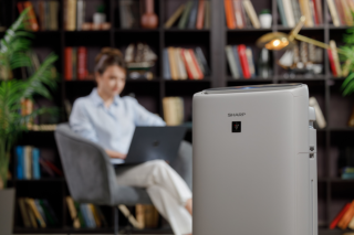 Plasmacluster PCI 25000