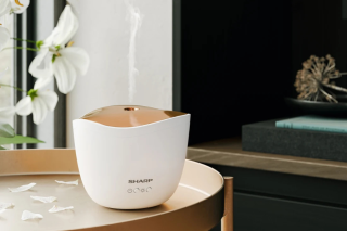 dyfuzor powietrza SHARP DF-A1E-W