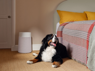 Blueair Blue 3450i Max