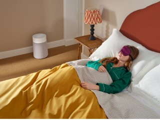 Blueair Blue 3450i Max