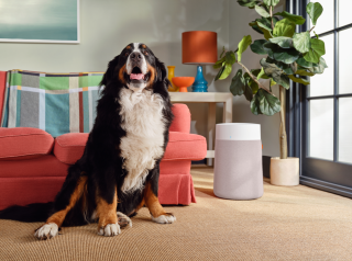 Blueair Blue 3450i Max