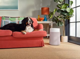 Blueair Blue 3450i Max