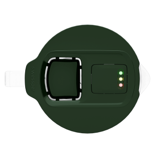 zielony szklany dzbanek filtrujący Wessper