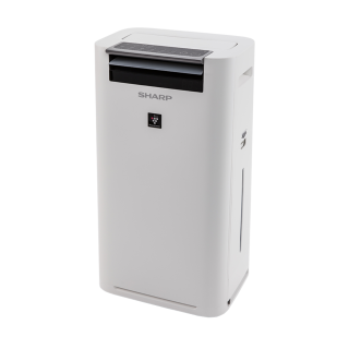 Sharp KC-G40EUW oczyszczacz powietrza z funkcją nawilżania. Pozbądź się wirusów i bakterii. Oczyszczacz KCG40EUW + nawilżacz + jonizator.