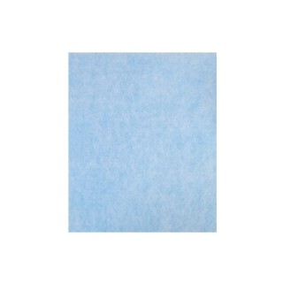 Filtr drobnego pyłu do Coway Storm. Oryginalny produkt Coway.