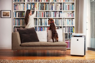 Sharp KI-G75EUW  wydajny oczyszczacz powietrza z nawilżaniem na duże powierzchnie. Oczyszczacz, nawilżacz i jonizator powietrza.